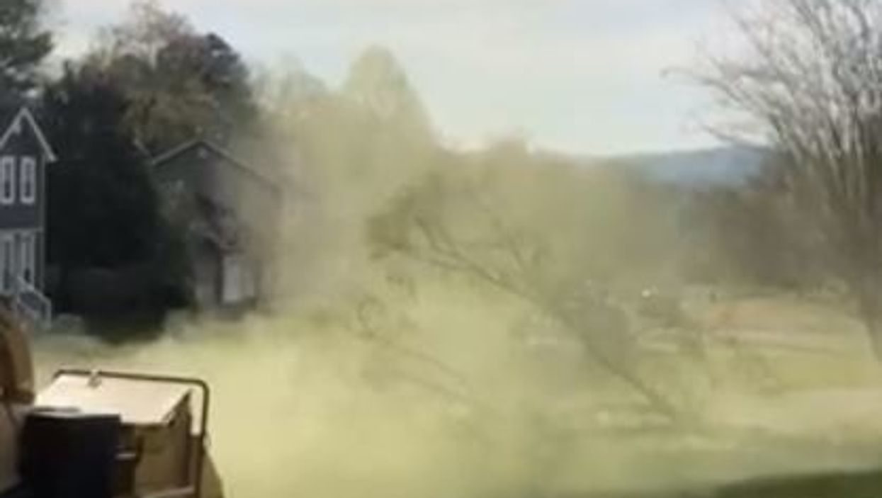 Watch slow-motion video of huge pollen cloud rising from fallen tree branch in Tennessee