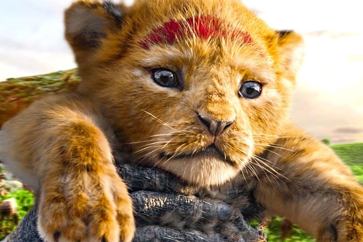 Disney Stays True to Intensely Adorable Animals in "The Lion King" Trailer