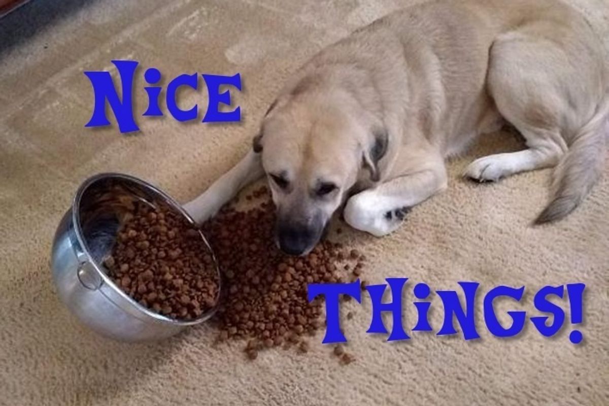 We Got Nice Things In Your Nice Things!