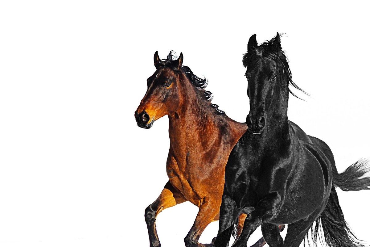 Lil Nas X's "Old Town Road" Just Broke Drake's Streaming Record