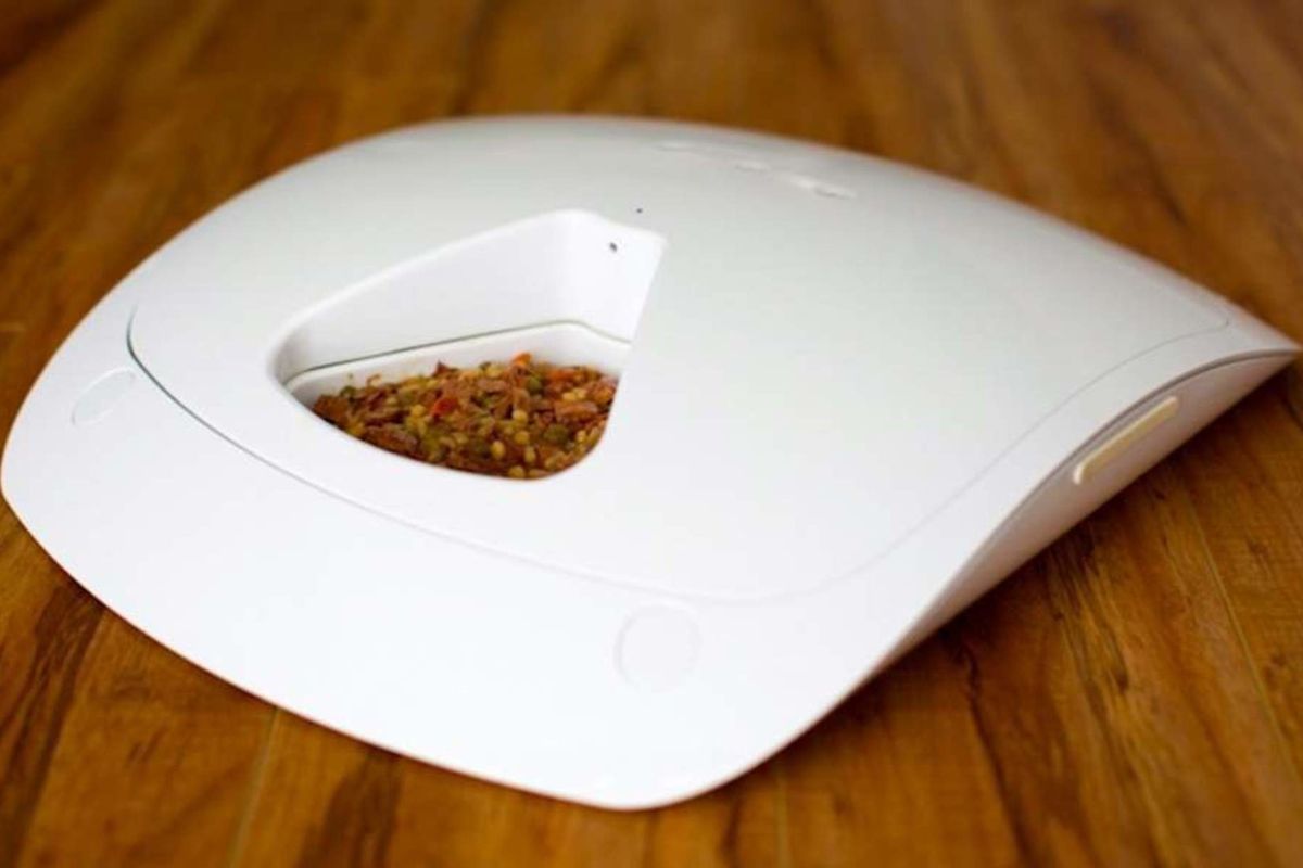Best Smart Dog and Cat Feeders