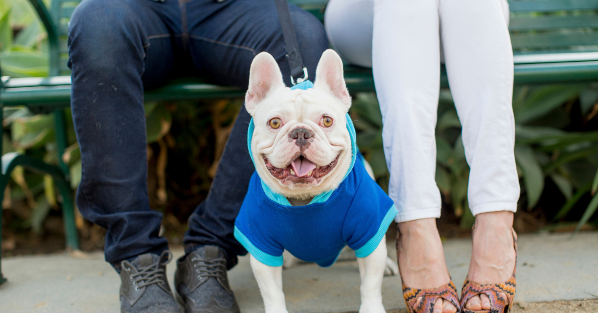 A New Dating App For Dog Lovers Just Launched And We Totally 'Dig' It