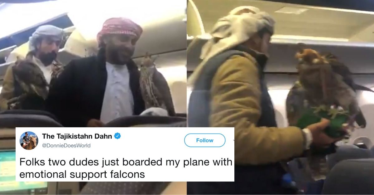 Passengers Get A Shock As Men Bring Three 'Well-Behaved' Falcons On Board Flight To Dubai