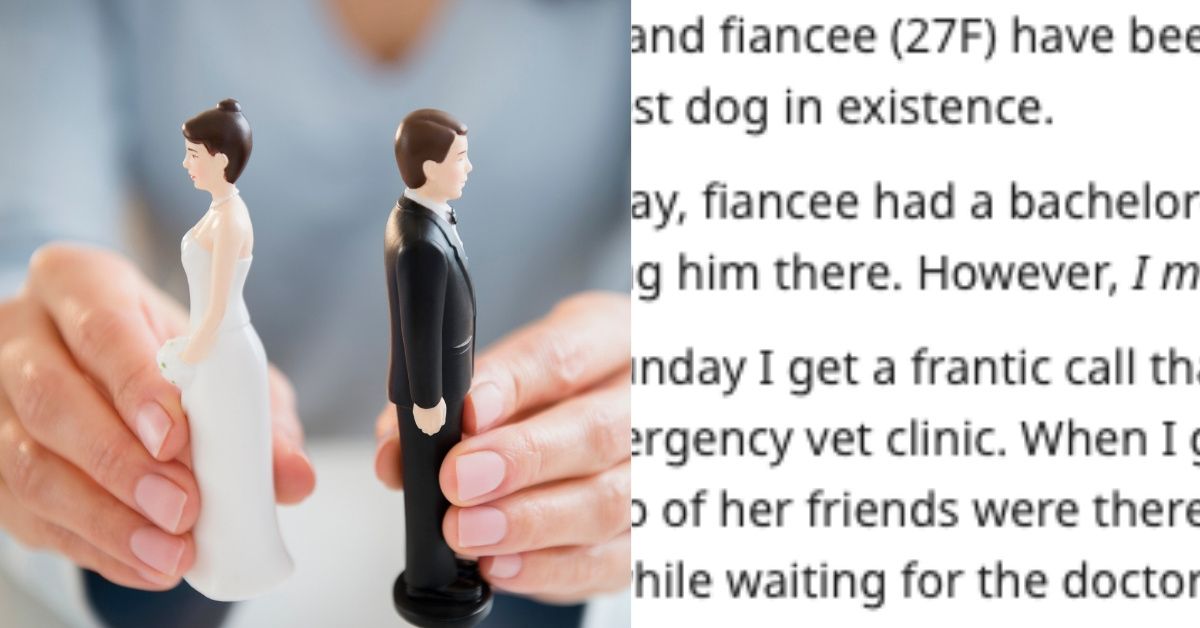 Guy Abruptly Cancels Wedding To Girlfriend Of 4 Years After She Accidentally Forgets To Lock Dog Up During Bachelorette Party