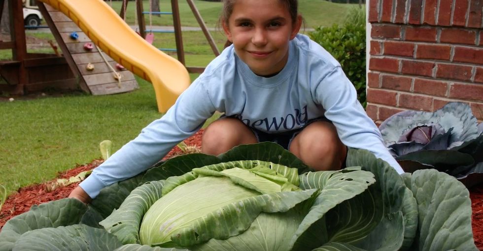 How a giant cabbage eventually helped this girl feed hundreds of thousands of people.