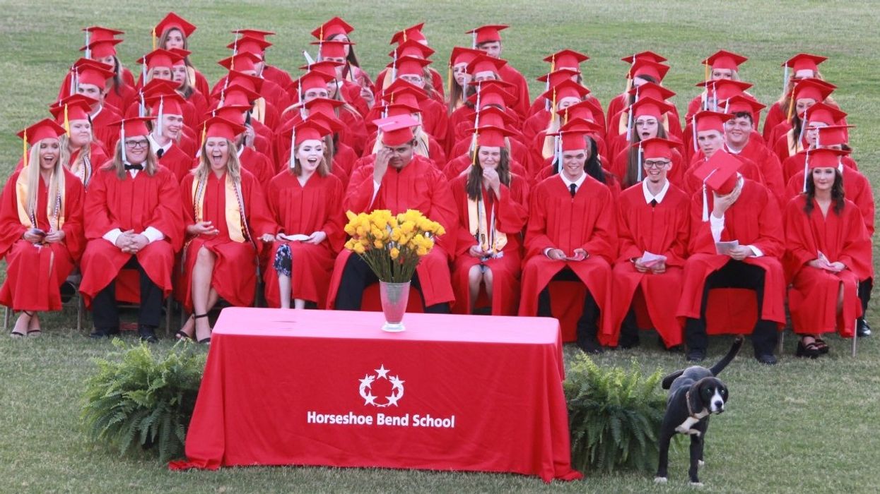 Alabama dog crashes owner's graduation ceremony in most hilarious way