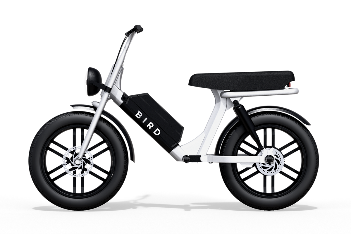 Meet the Bird Cruiser, an electric bicycle built for two