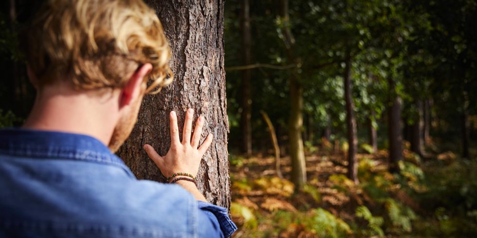 Beleaf Me, Forest Bathing Might Just Be The Cure-All You've Been Rooting For