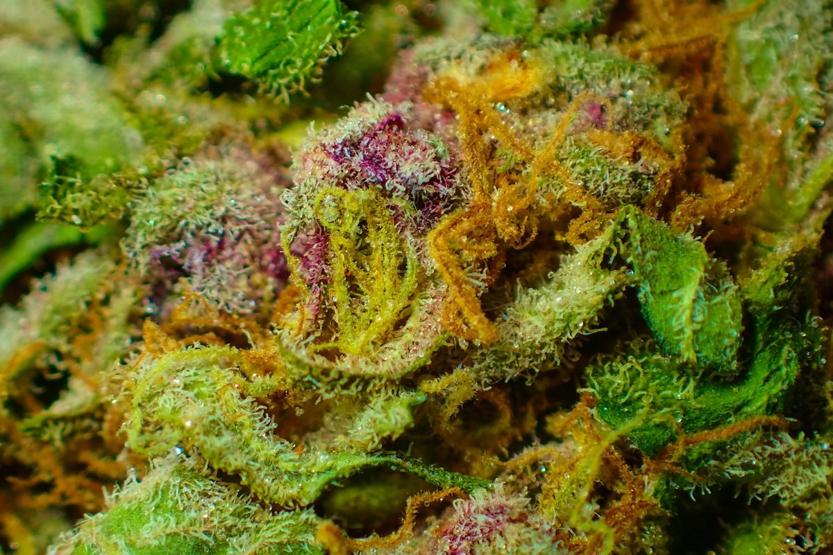 Arizona Supreme Court Stops Harshing Medical Marijuana's Mellow