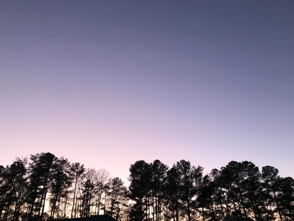 Photos National Nature Photography Day