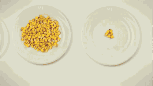 This Is Who We're Feeding With Our Extra Food. And You'll Spit Out Your ...