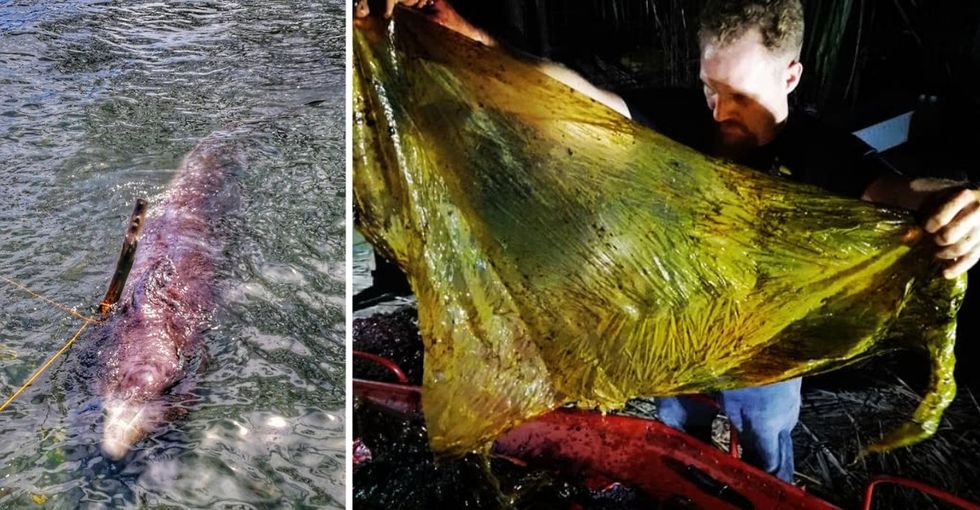 A dead whale just washed ashore with 88 pounds of plastic waste in its stomach. This needs to stop.