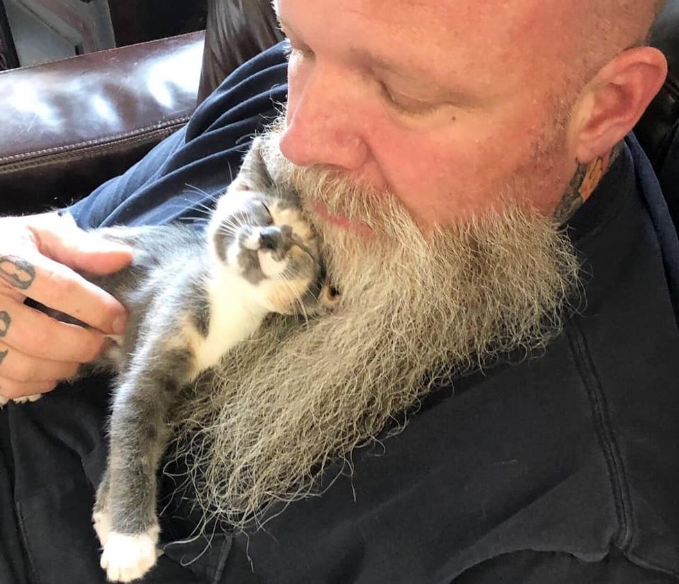 Sassy Rescued Kitten Turns into Cuddle-bug When She's No Longer Alone