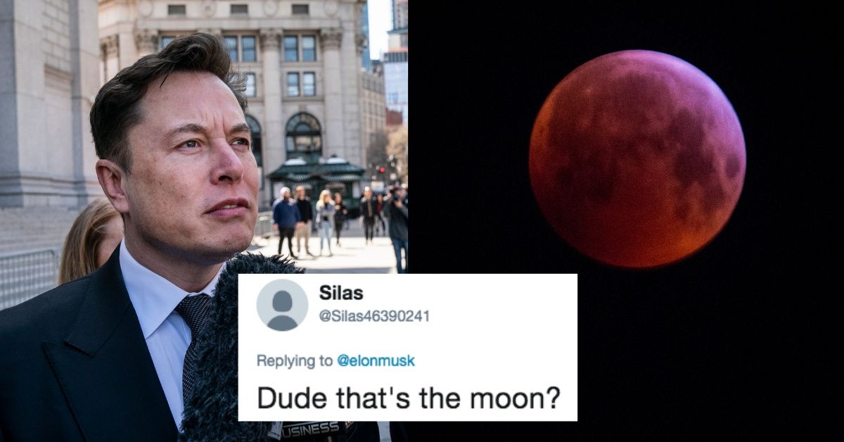 Elon Musk Just Confused The Moon For Mars, And Twitter Roasted Him Hard For It