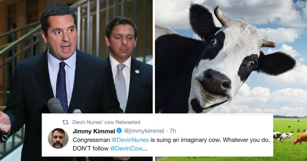 This congressman sued a Twitter account written by an imaginary cow. Now it has more followers than him