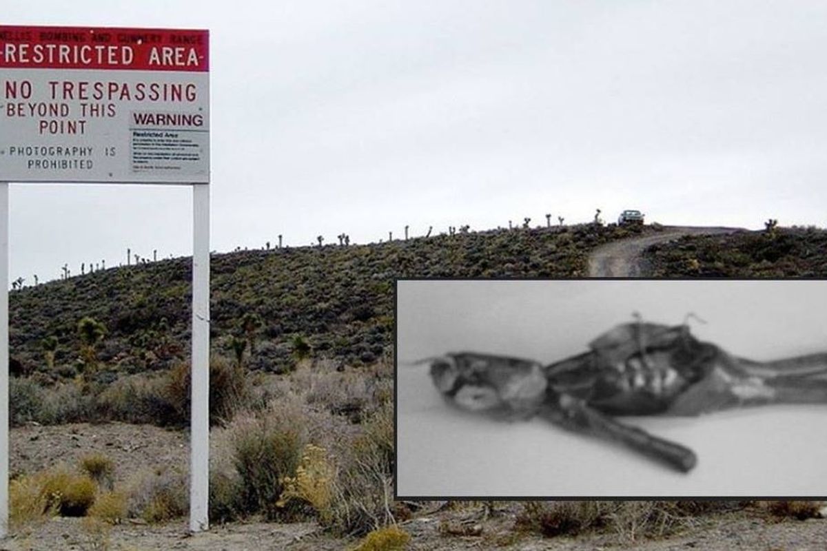 Over 200,000 people have signed up to storm Area 51 and get the truth about aliens.