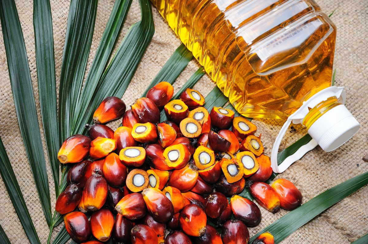 How To Use Red Palm Oil For Hair Growth