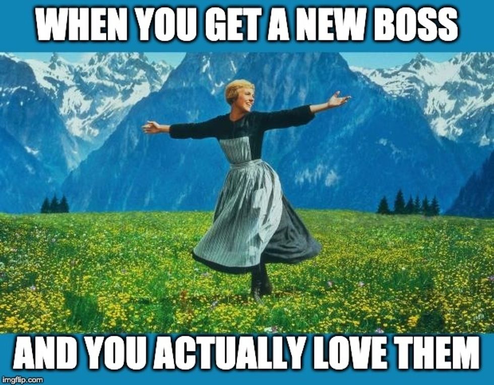 love your boss meme - when you get a new boss and actually love them (The Sound of Music Meme)