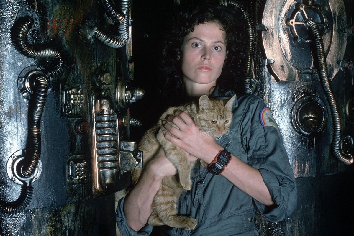 best real cats in movies