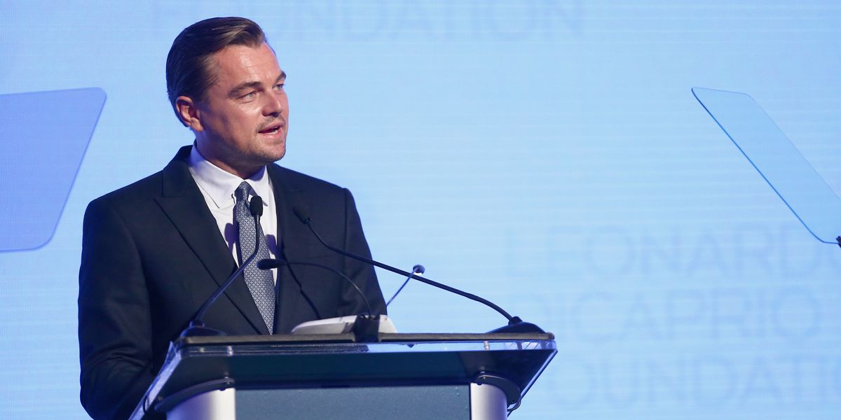 Maybe Leonardo DiCaprio Will Save the Amazon