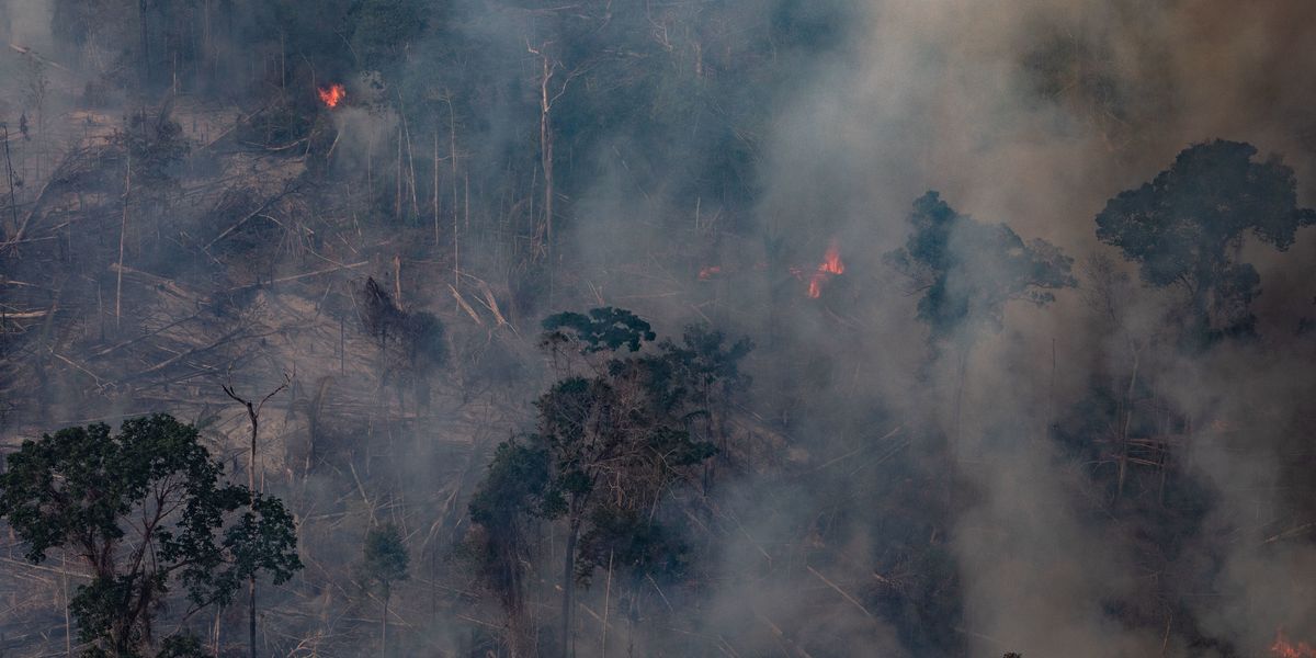 LVMH Pledges $11 Million to Combat Amazon Wildfires