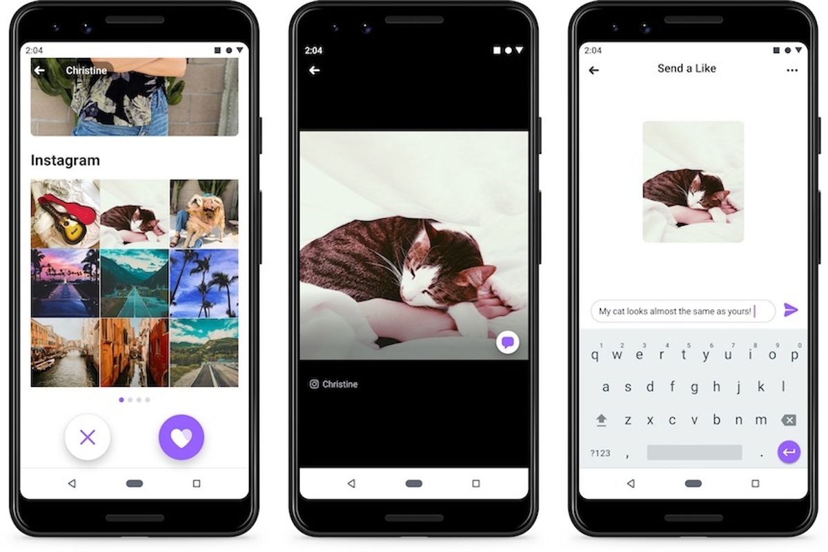 Three screenshots with photos of a cat and a social profile