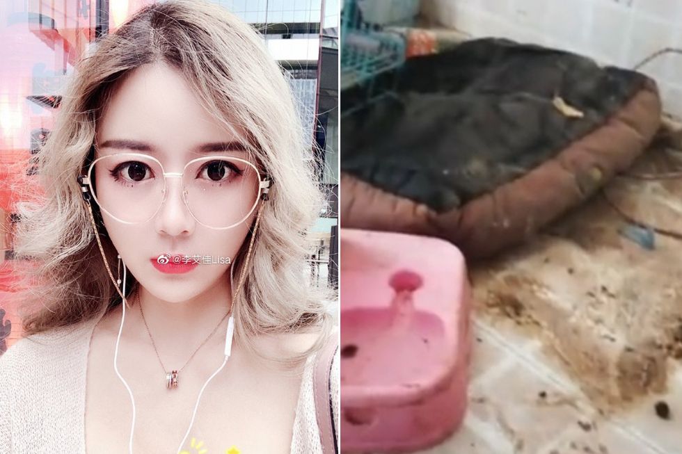 Lisa Li, Caroline Calloway, and the Repulsive Lives of Your Favorite Influencers