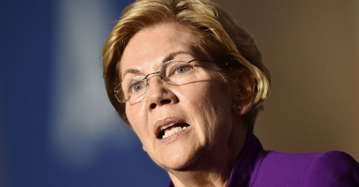 Elizabeth Warren Trolls Smear Campaign Against Her With Genius 'Cougar' Reference