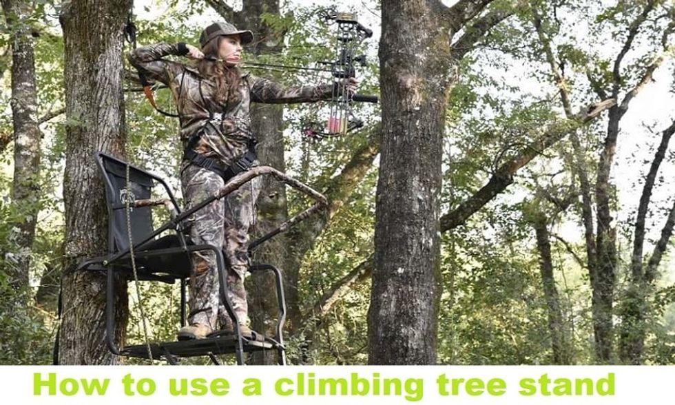How to use a climbing tree stand?