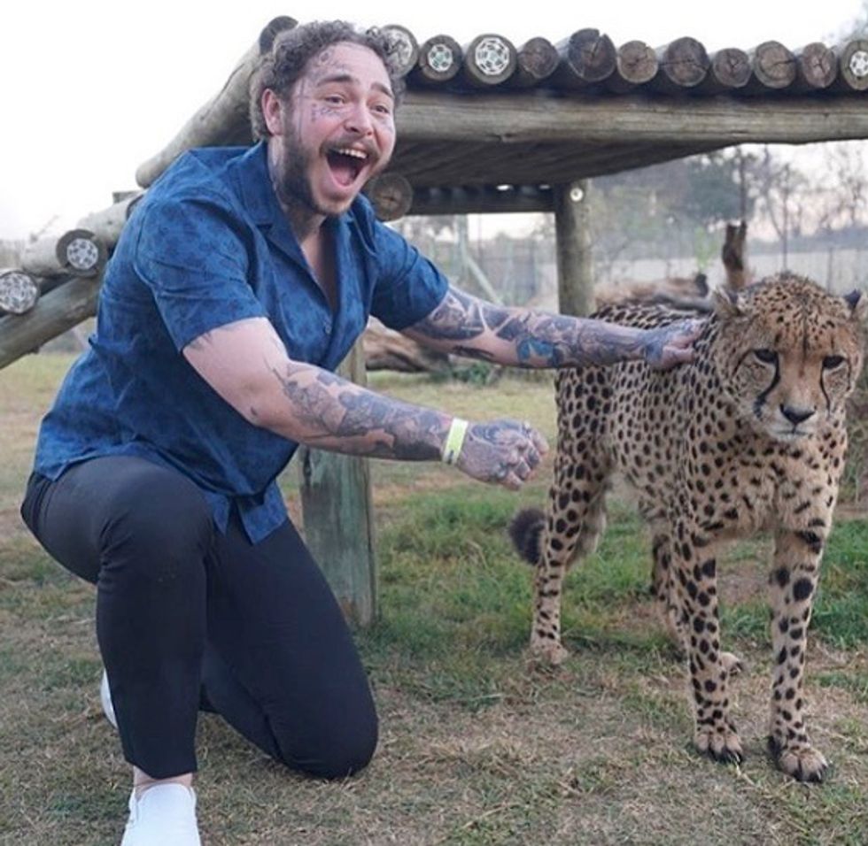 10 Reasons Post Malone Is The Most Down-To-Earth Celebrity Out There