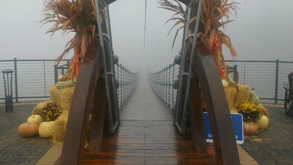 Would you brave this eerie morning fog to walk down Gatlinburg's SkyBridge?