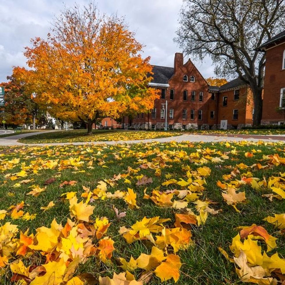 7 Best Spots To Go On MSU's Campus In The Fall