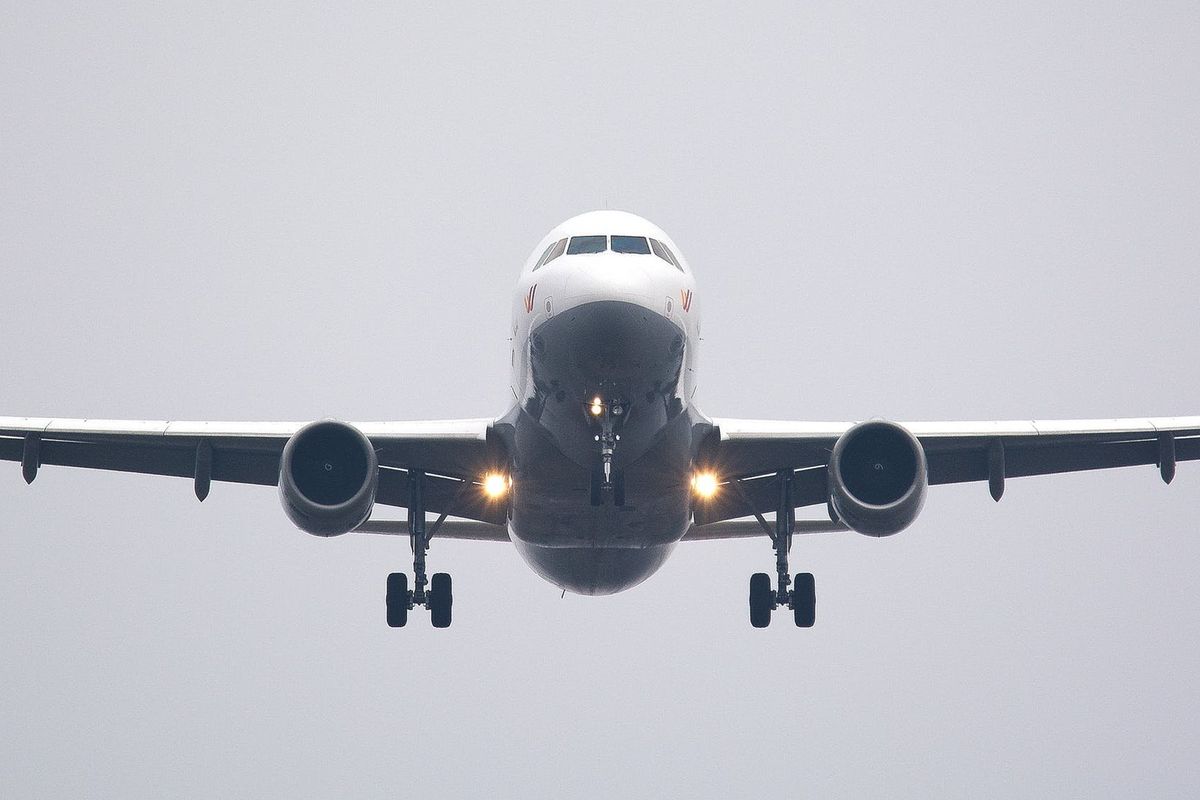 A report on climate change is calling to ban frequent flyer miles