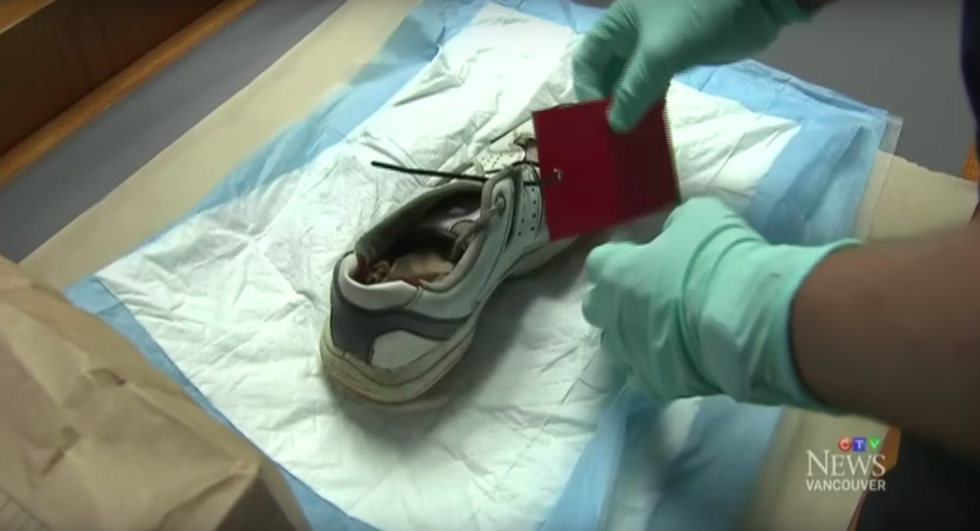 Human Feet Washing Up On Canada's Shore Where Do They Come From? Second Nexus