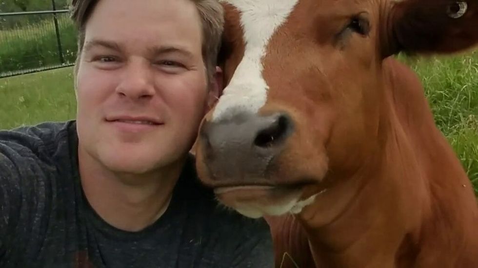 Public Health Officials Are Now Warning Against Taking Cow Selfies and We See Why