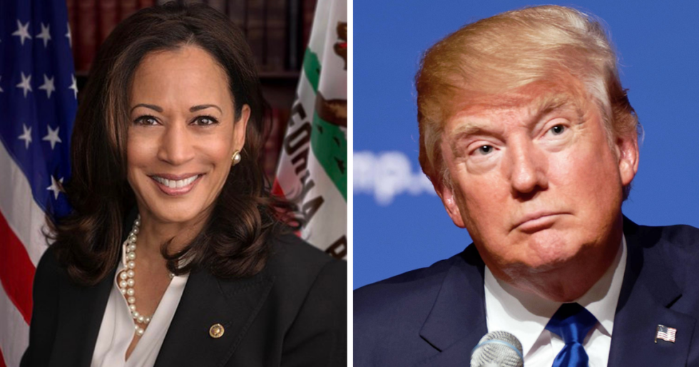 Kamala Harris Just Perfectly Trolled Donald Trump Over His July 4th 'Hold the Date' Tweet, and It's Funny 'Cuz It's True