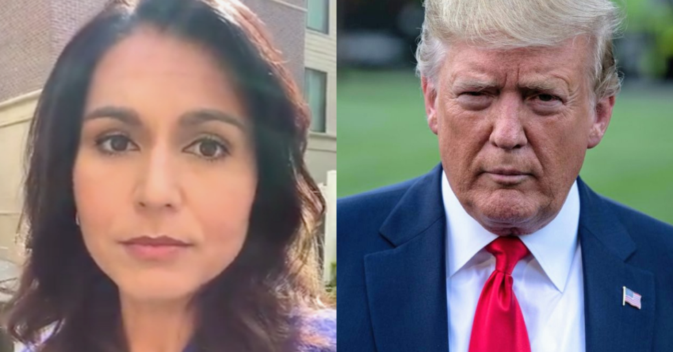 Tulsi Gabbard Accuses Trump of Treating the Military Like 'His Prostitutes', Says 'You Are Not Our Pimp'