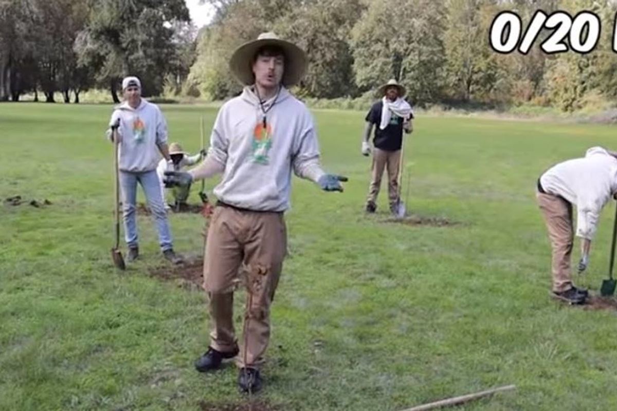 YouTubers joined together to combat climate change by planting 20 million trees