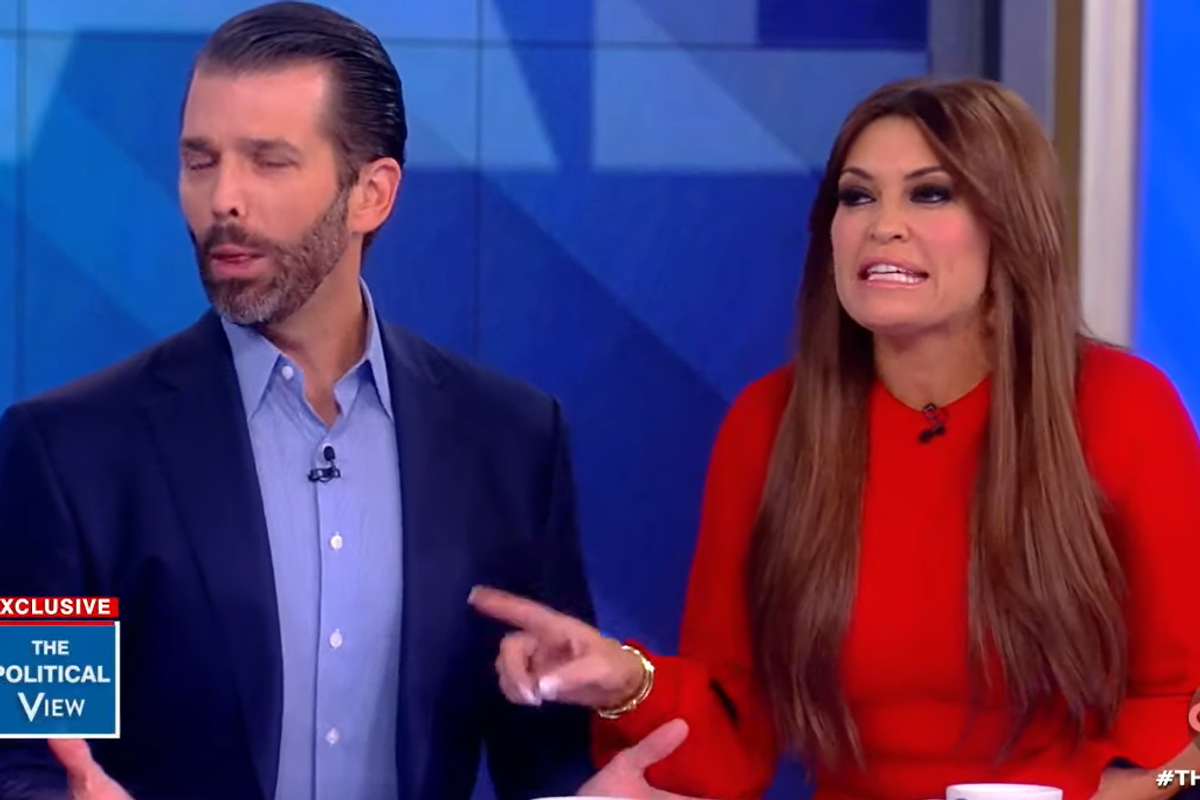 Some Dipsh*ts Went On 'The View' Today