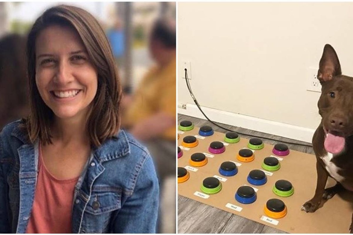 Speech pathologist teaches her dog to use a soundboard and now it communicates in sentences