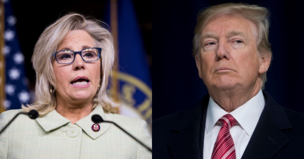 People Explain the Real Reasons Trump Abandoned the Kurds in Syria After Liz Cheney Says 'It's Impossible to Understand'