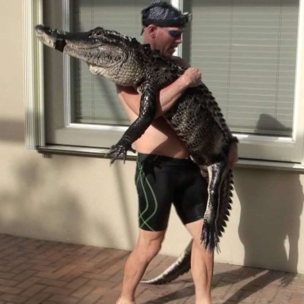 Florida man wrestles 9foot alligator out of house's swimming pool It