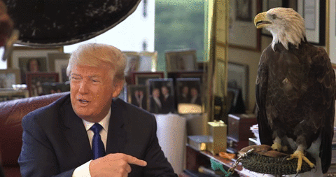 Donald Trump Being Oppressed by a Bald Eagle