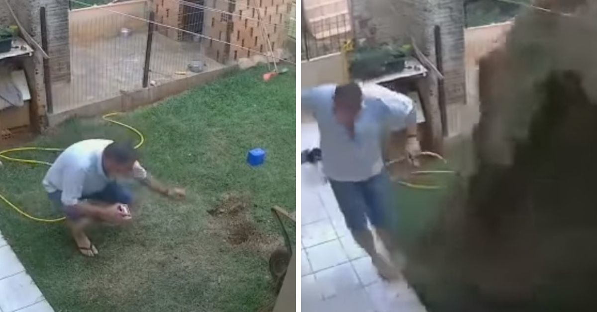 Security Camera Catches Guy Accidentally Blowing Up His Back Yard While Trying To Kill Cockroach Infestation