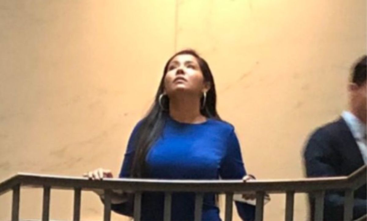 Woman In Blue Dress Who Became Symbol Of The 'Resistance' Thanks To Viral Photo Is Actually Republican Staffer