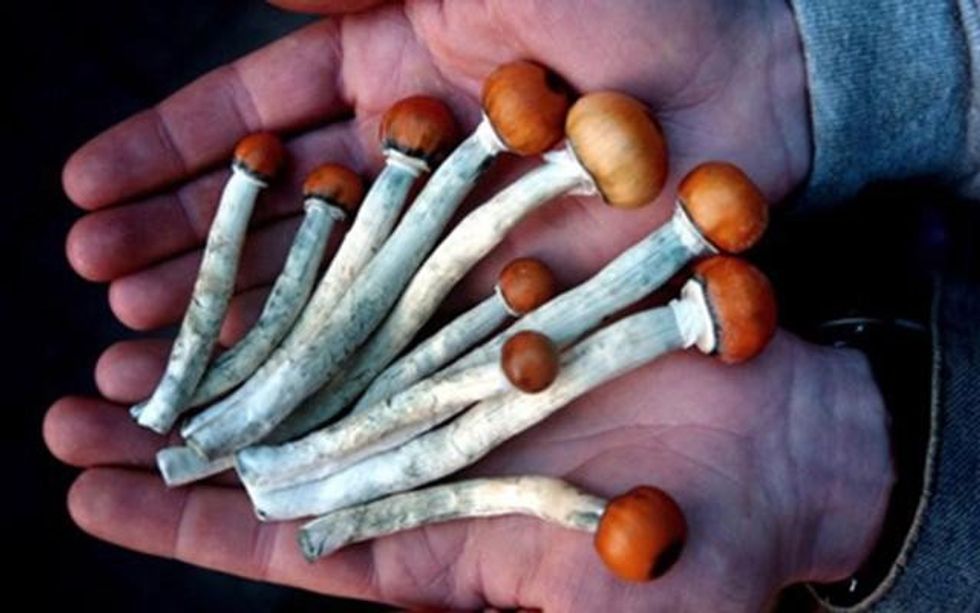 First Ever Trial Shows Promise for 'Magic Mushrooms'