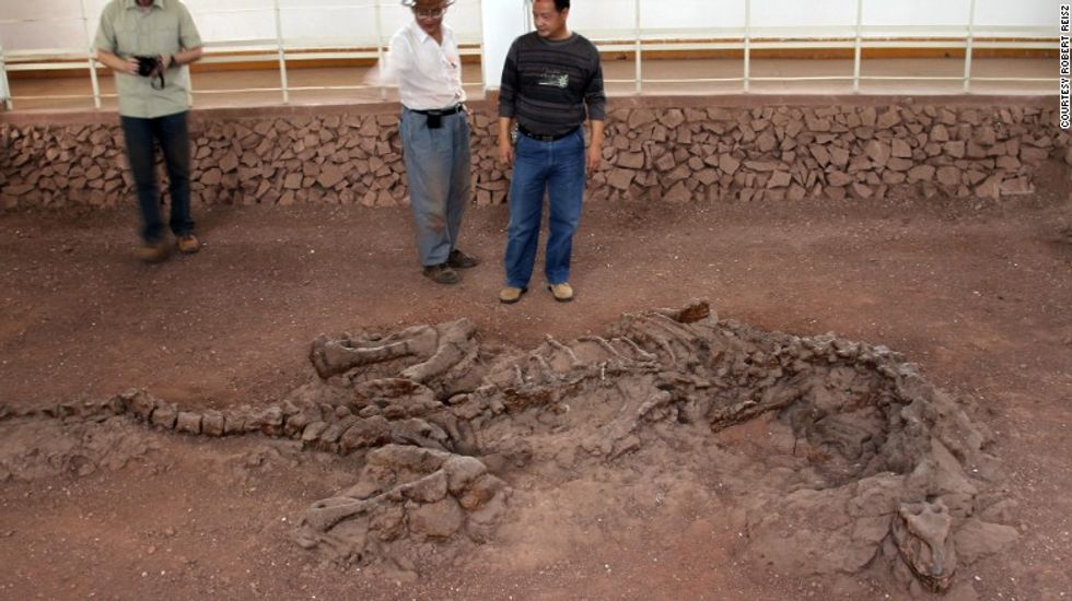 Scientists Think They Just Found 195-Million-Year-Old Dinosaur Tissue