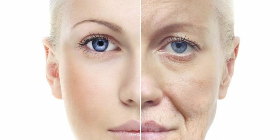The Fountain of Youth? An Anti-Aging Drug Trial Starts in Humans Soon