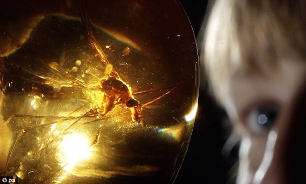 A Jurassic Park Moment: They Just Found Blood Fossilized in 20 Mil Year Old Amber