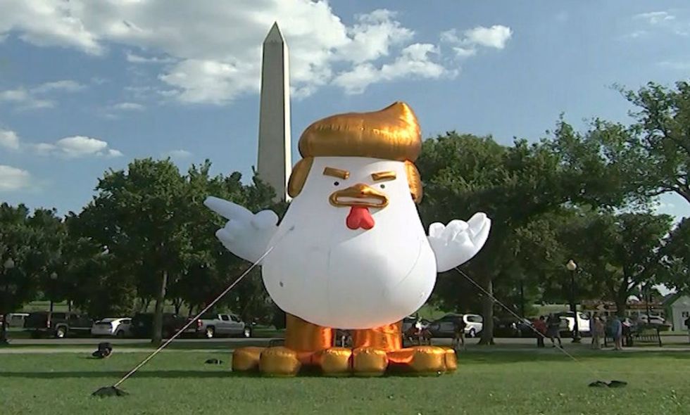There's An Inflatable Chicken With Donald Trump's Hair Near The White House